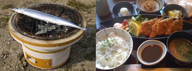 青魚
