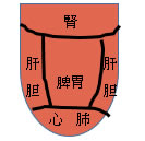 舌それぞれの部位