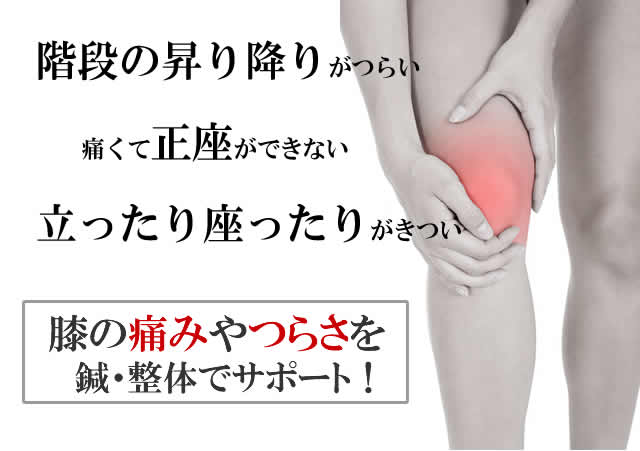 目黒区:膝痛で階段の昇り降りがつらい、正座が出来ない