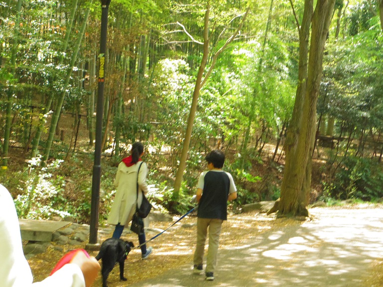 せせらぎ公園　散歩