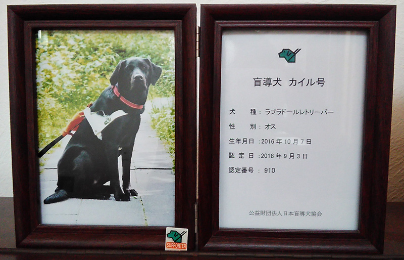 盲導犬　カイル号