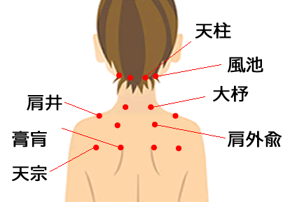 鍼灸・肩こりのツボ