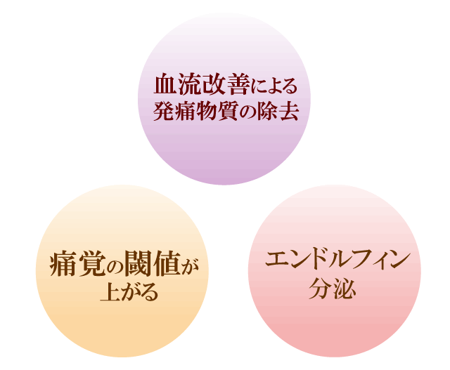 鍼による痛みコントロール：発痛物質