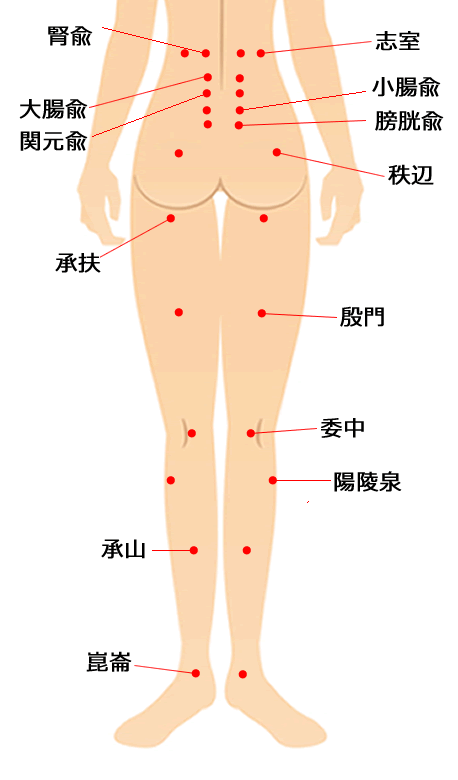 鍼灸・坐骨神経痛に効果的なツボ